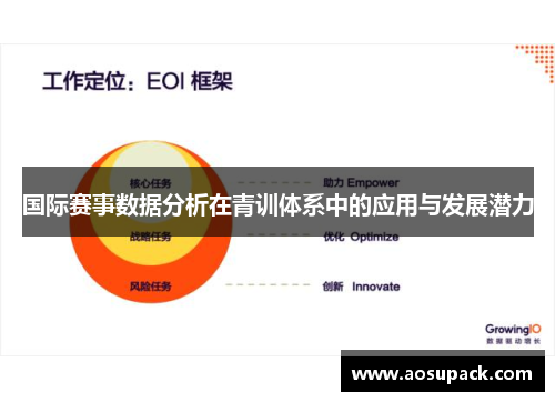 国际赛事数据分析在青训体系中的应用与发展潜力